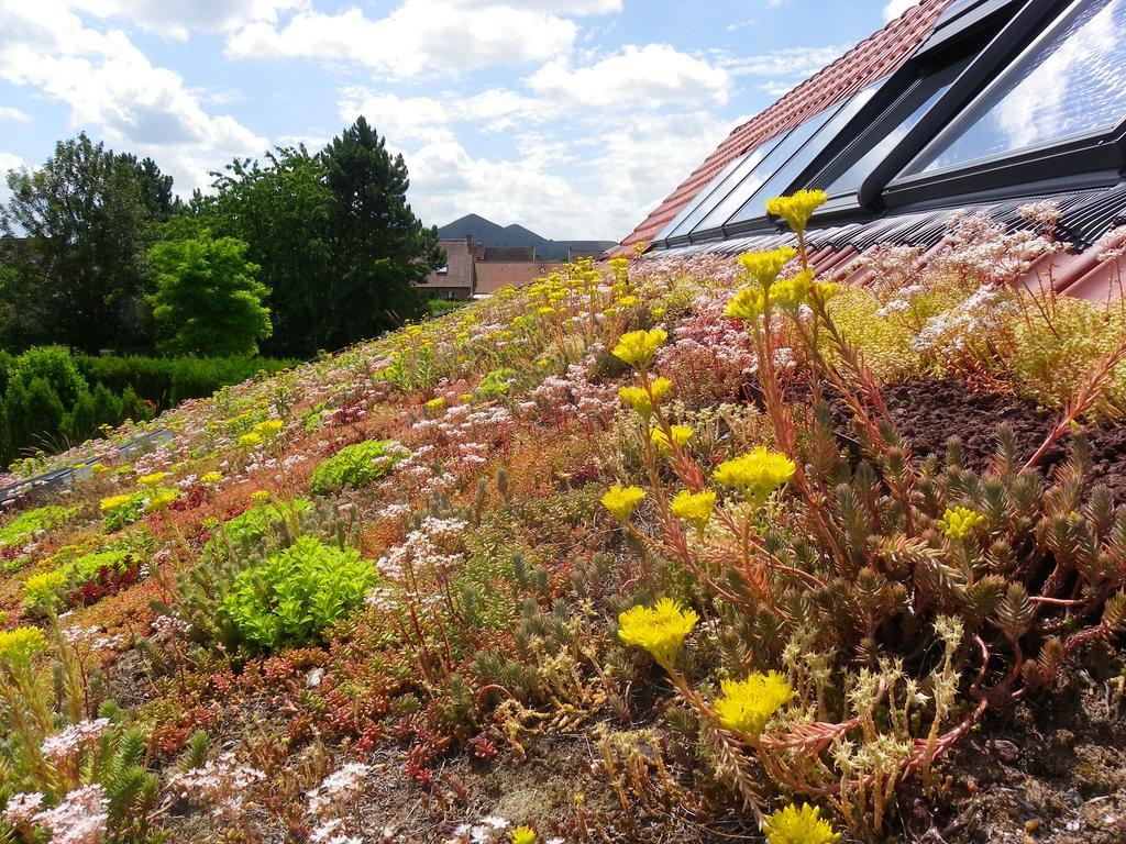 Fleur De Ciel Villa Loos-en-Gohelle Eksteriør bilde