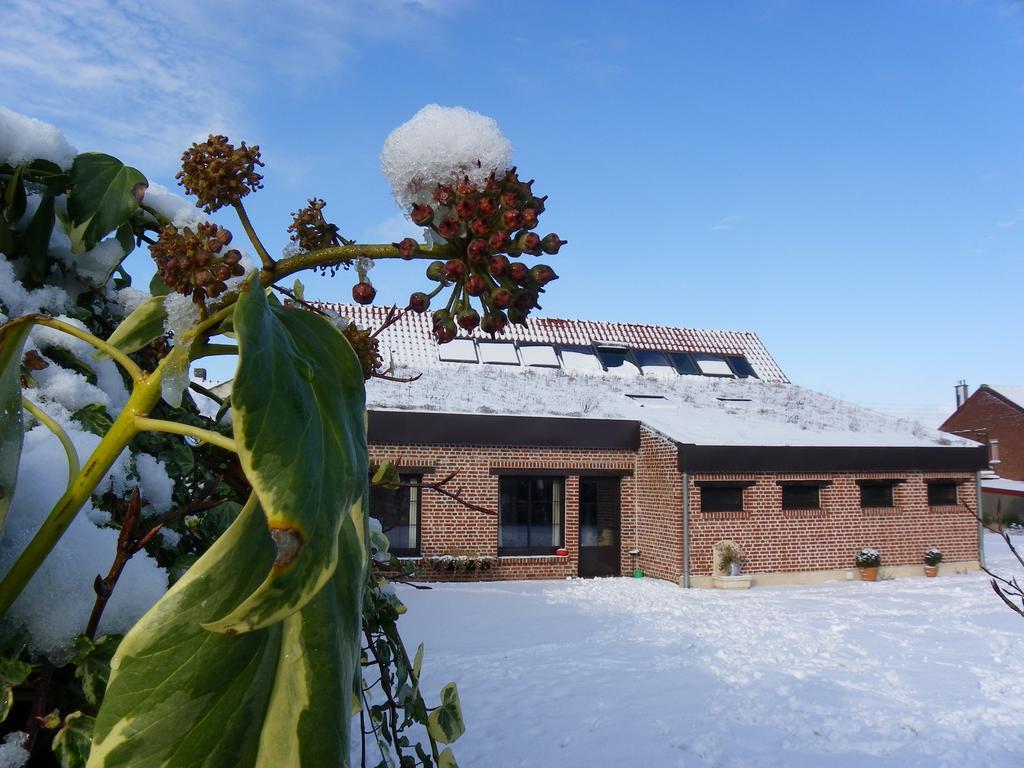 Fleur De Ciel Villa Loos-en-Gohelle Eksteriør bilde