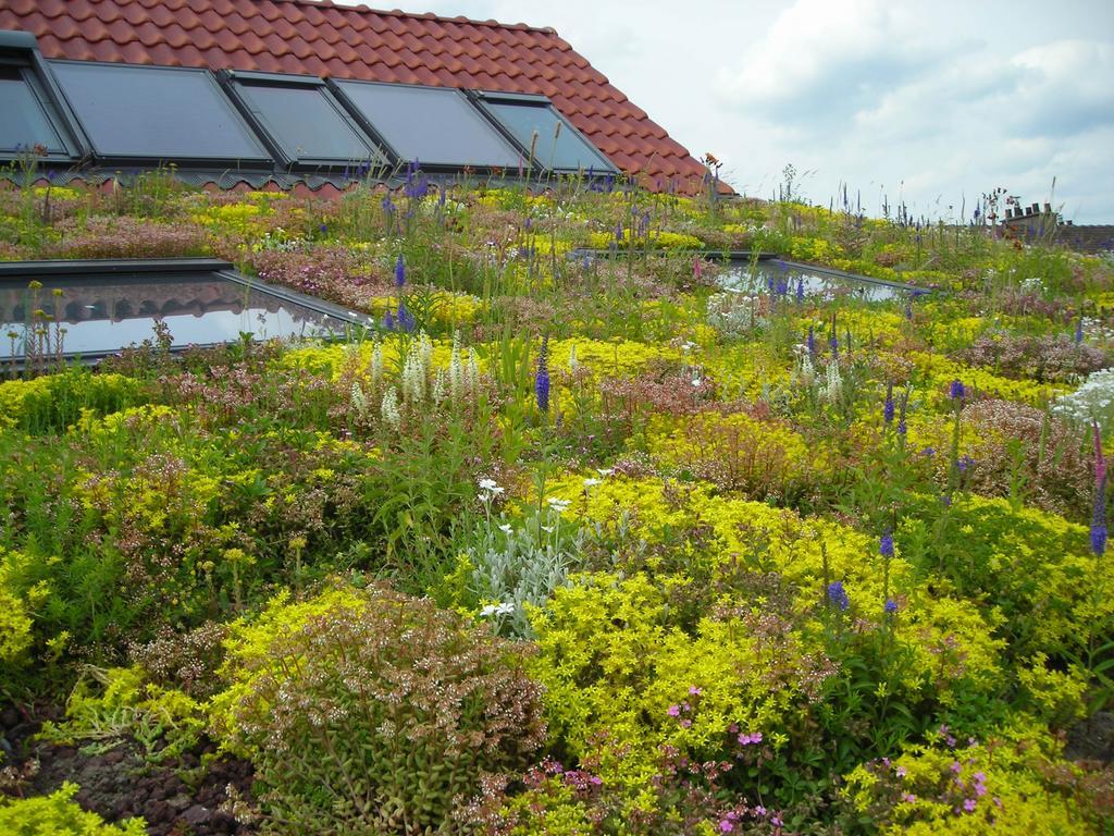 Fleur De Ciel Villa Loos-en-Gohelle Eksteriør bilde